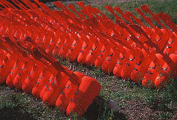 BUOYS