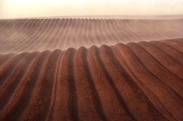 FURROWS