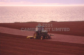 PEI