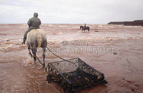 PEI