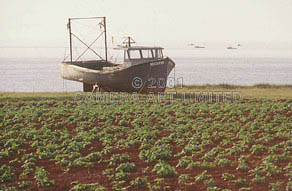 PEI