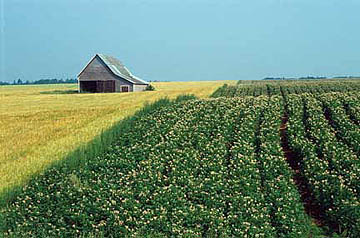 POTFIELD1