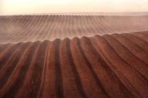 FURROWS
