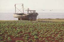 PEI