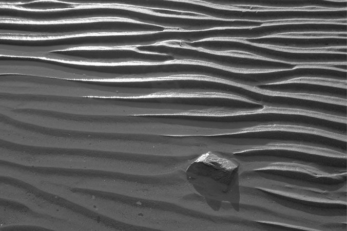 Sand Ripples #1