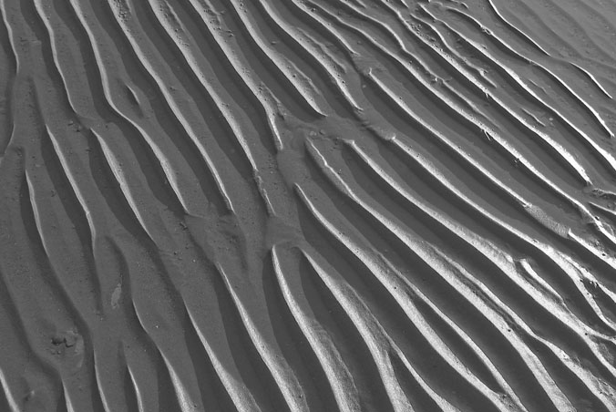 Sand Ripples #2