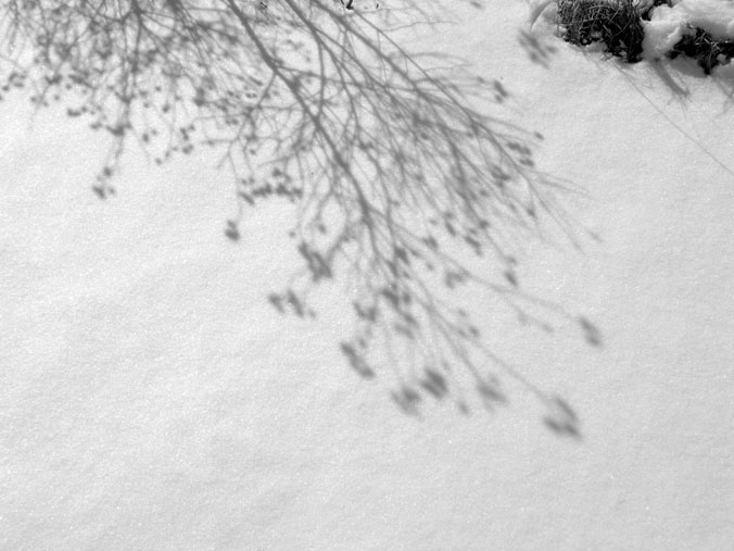 Snow & Shadow