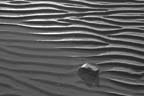 Sand Ripples #1