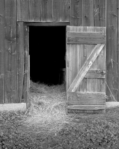 BARN DOOR