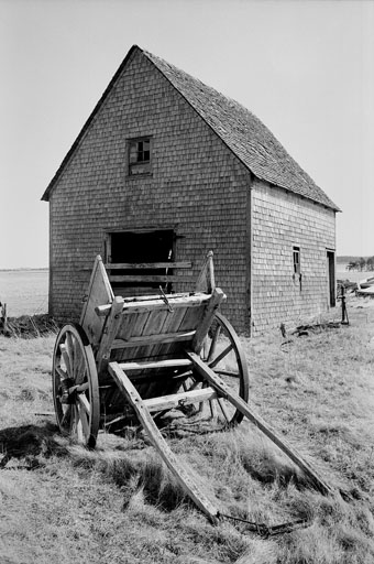 BLOOMING PT. BARN