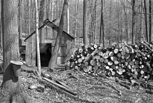 MAPLE SHACKs