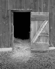 BARN DOOR