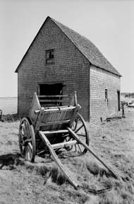 BLOOMING PT. BARN