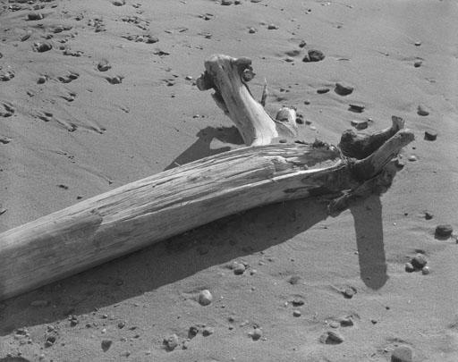 BEACH LOG