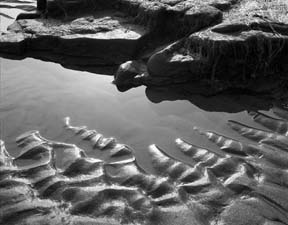 TIDE POOL