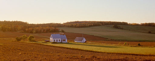 HOMESTEADb