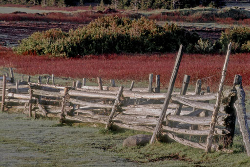 SNAKE FENCE 2