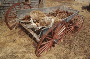 TRUCK WAGONs