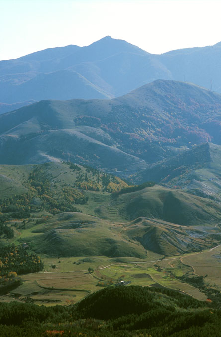 POLLINO VALLEY F